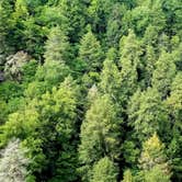 Review photo of Fall Creek Falls State Park Campground by Katrin M., May 28, 2020