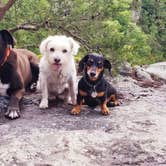 Review photo of Fall Creek Falls State Park Campground by Katrin M., May 28, 2020
