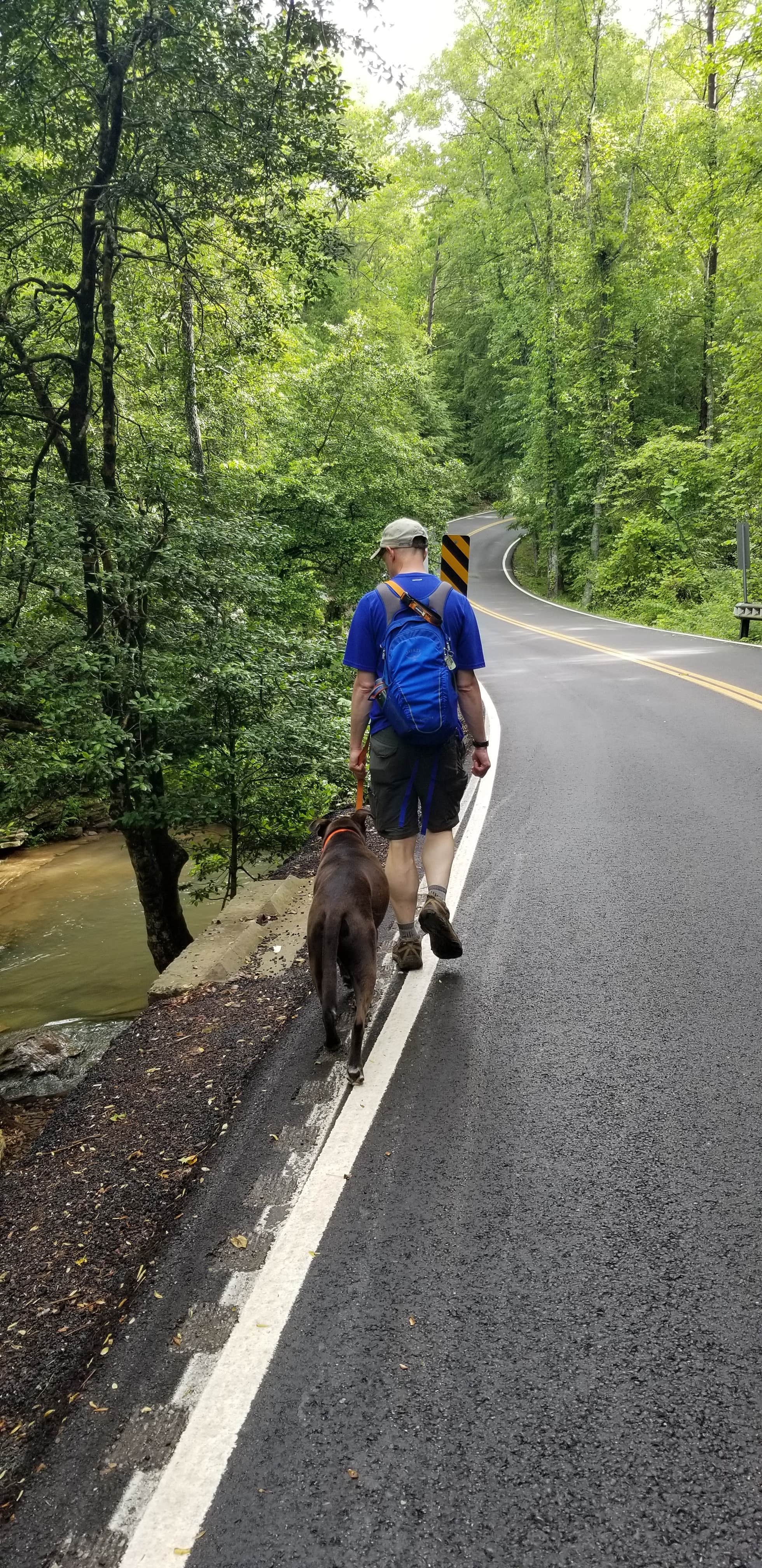 Katrin M.'s photo of camping with pets at Fall Creek Falls State Park Campground near Gruetli-Laager, TN