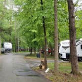 Review photo of Fall Creek Falls State Park Campground by Katrin M., May 28, 2020