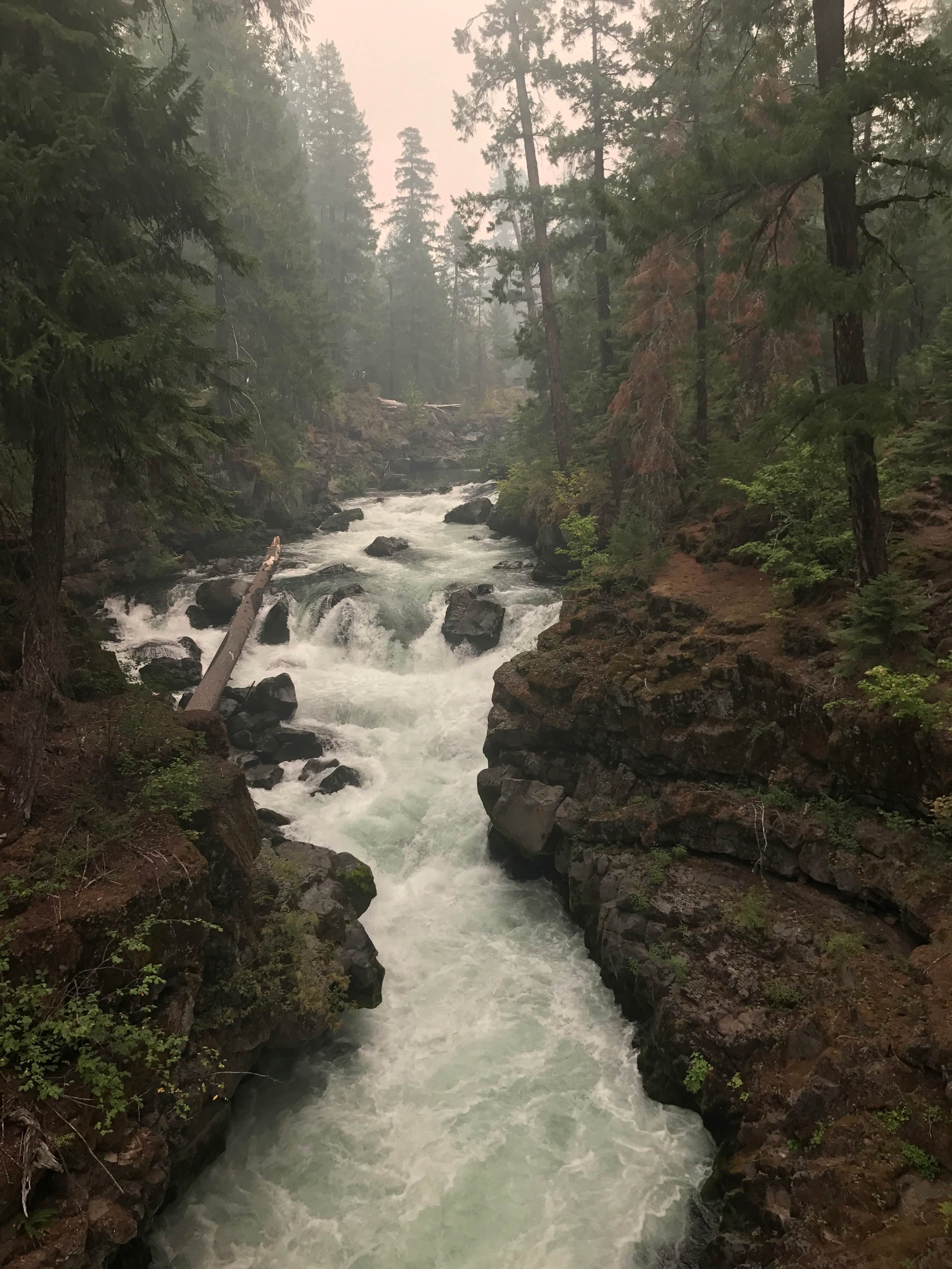 Camper submitted image from Union Creek Campground - 3
