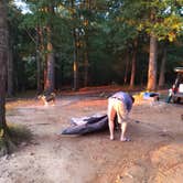 Review photo of Ginger Bay Basic Camping Area by Juli G., May 28, 2020