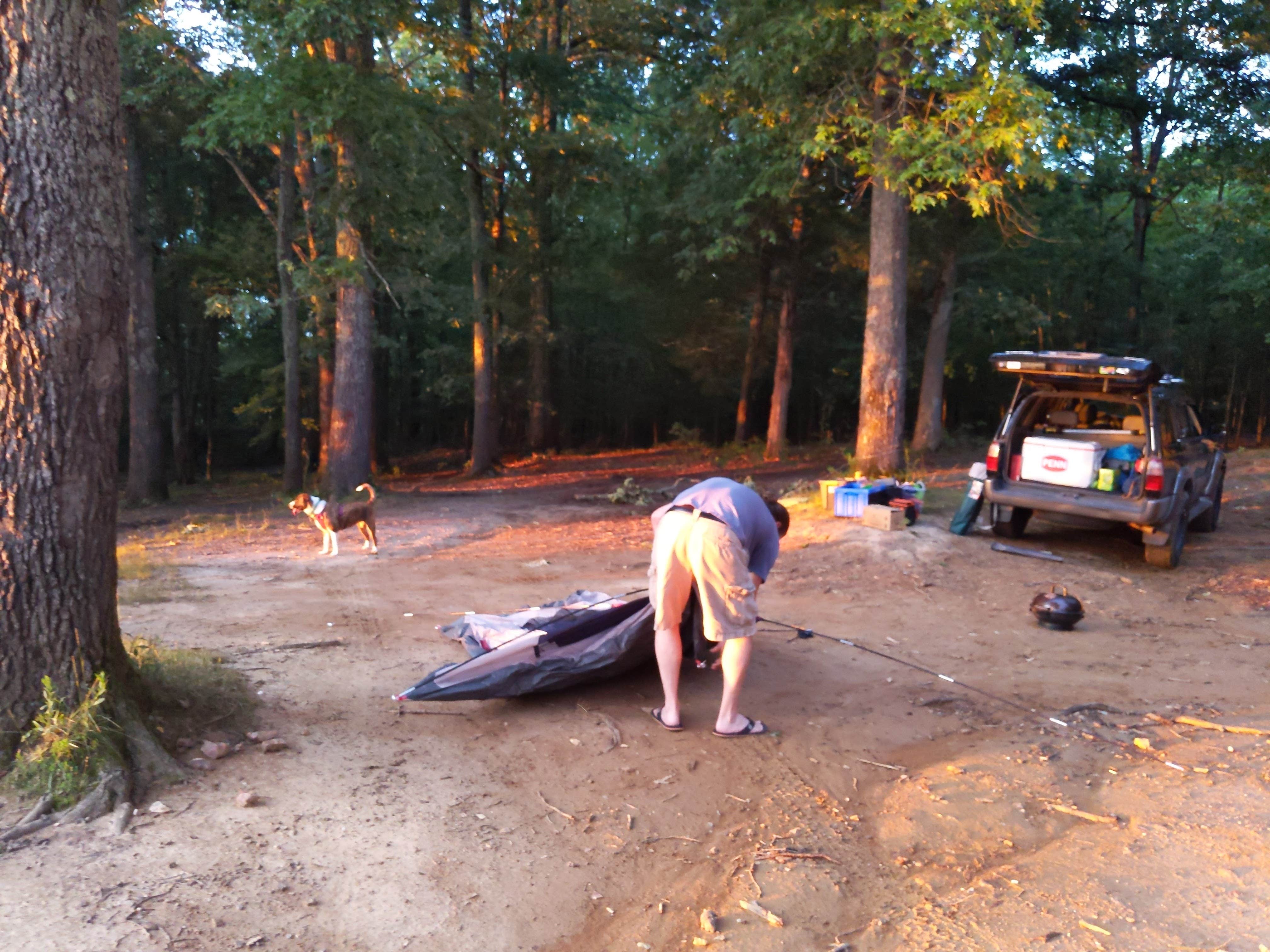 Camper submitted image from Ginger Bay Basic Camping Area - 5