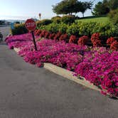 Review photo of Anchor Down RV Resort by April L., May 28, 2020