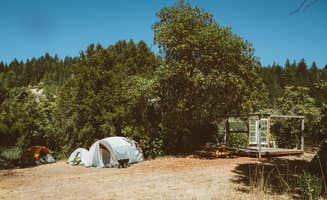 The Dyrt's photo at Mendocino Magic near Leggett, CA