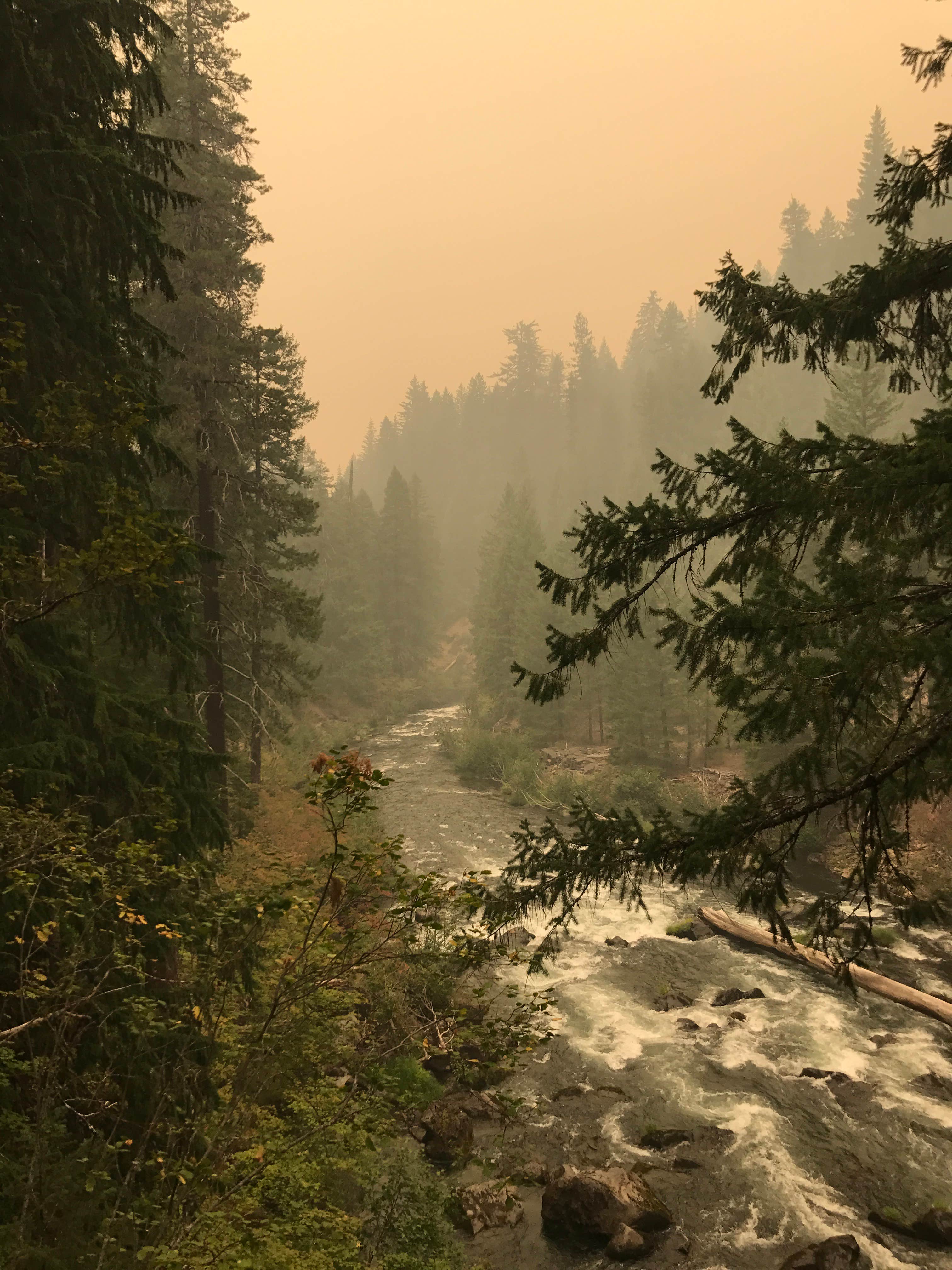 Camper-submitted photo at Union Creek Campground near North Powder, OR