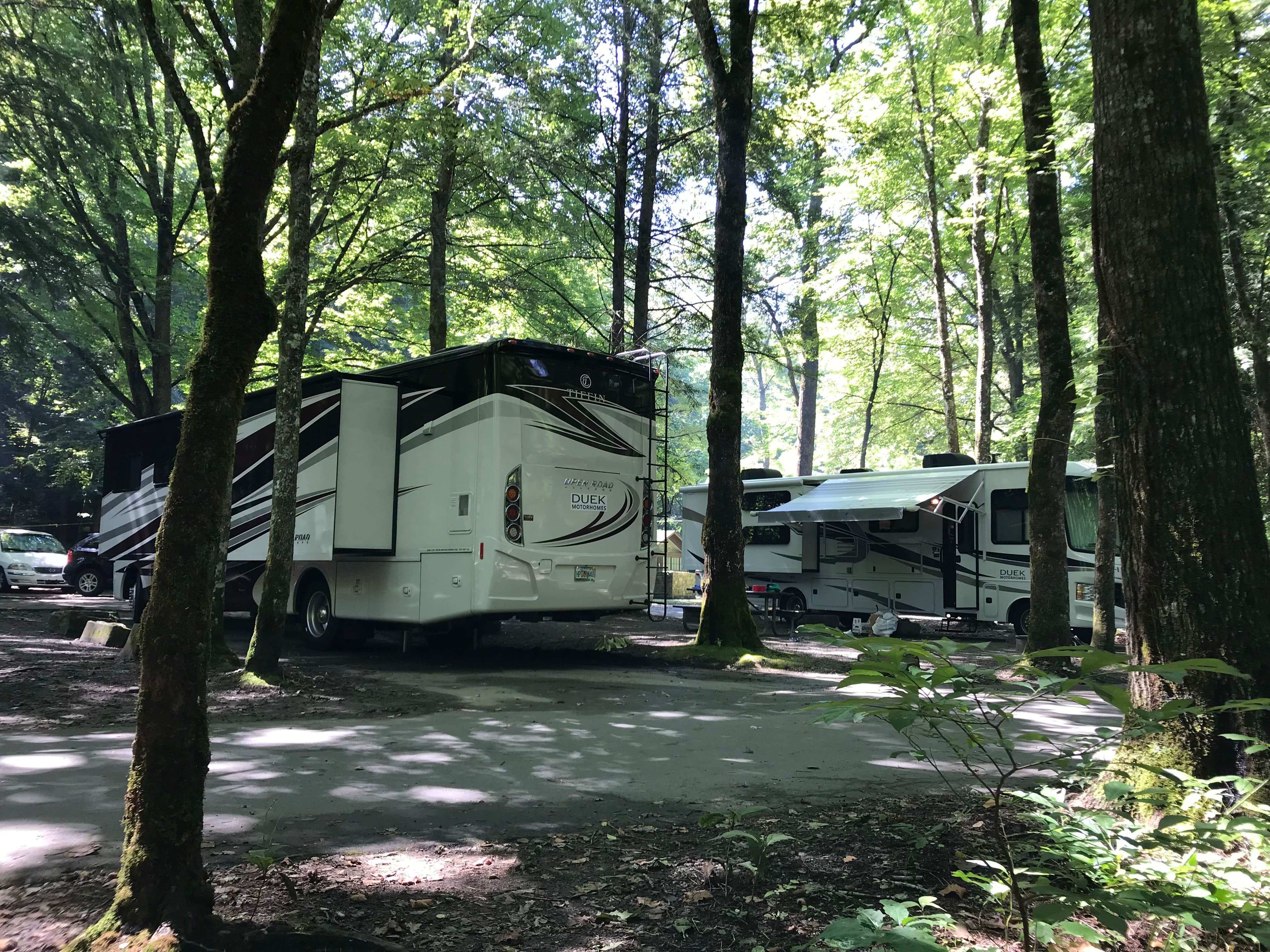 Brunella C.'s photo at Smokemont Campground — Great Smoky Mountains National Park near Great Smoky Mountains National Park