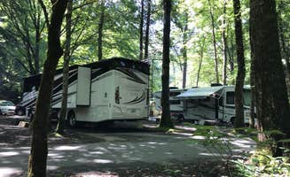 Brunella C.'s photo at Smokemont Campground — Great Smoky Mountains National Park near Great Smoky Mountains National Park