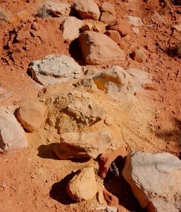 Camper-submitted photo at Oak Point Campground near Youngsville, NM