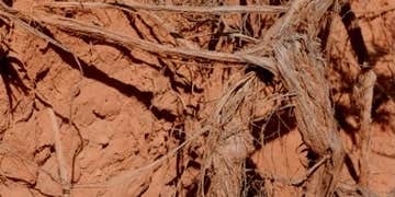 Camper submitted image from Oak Point Campground