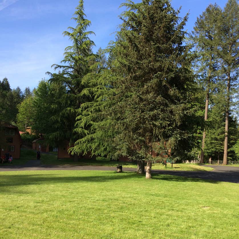 Camp Kuratli at Trestle Glen Camping The Dyrt