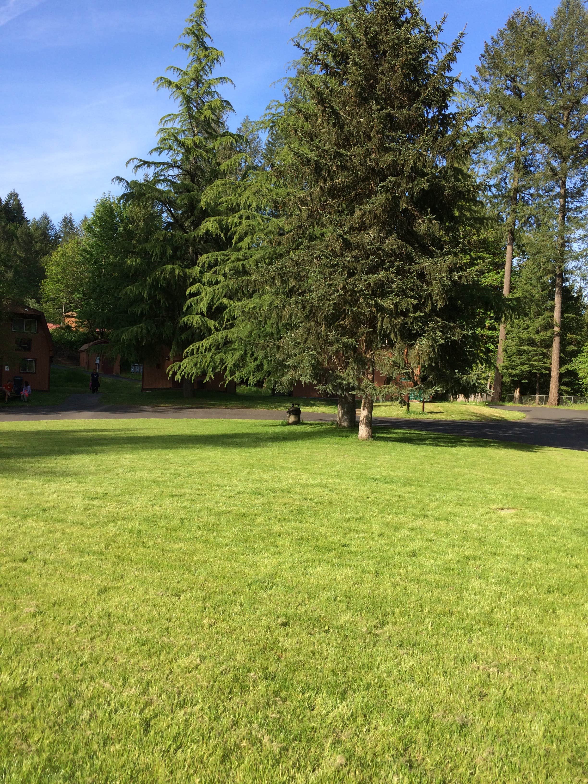 Camper submitted image from Camp Kuratli at Trestle Glen - 3