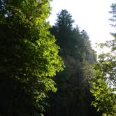 Review photo of Ainsworth State Park Campground by Amanda L., June 30, 2016