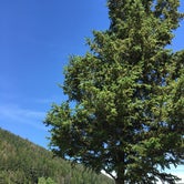 Review photo of Wallowa Lake State Park Campground by B M., May 29, 2020