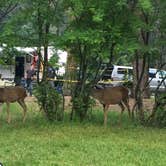 Review photo of Wallowa Lake State Park Campground by B M., May 29, 2020