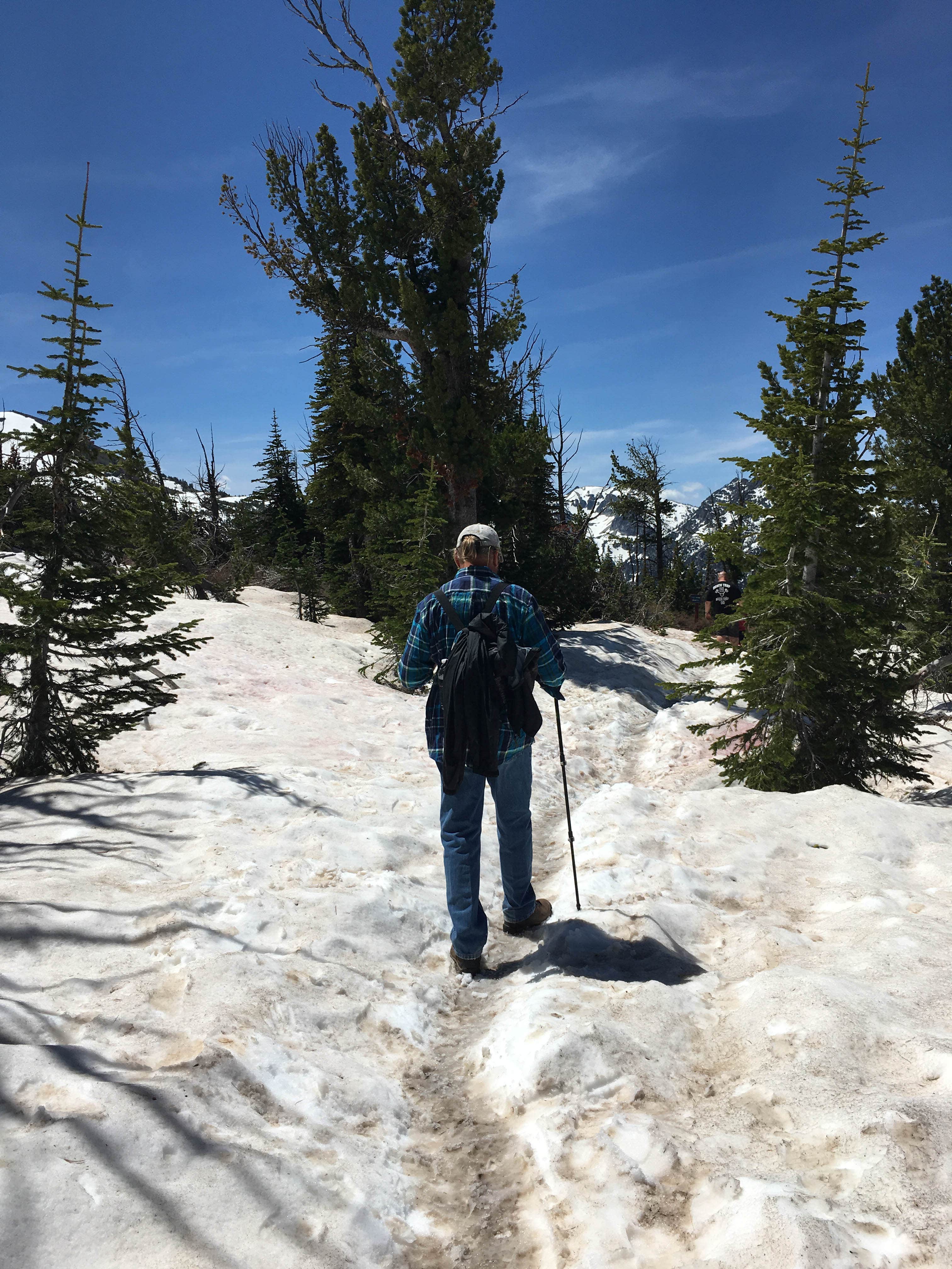 Up on Mt Howard