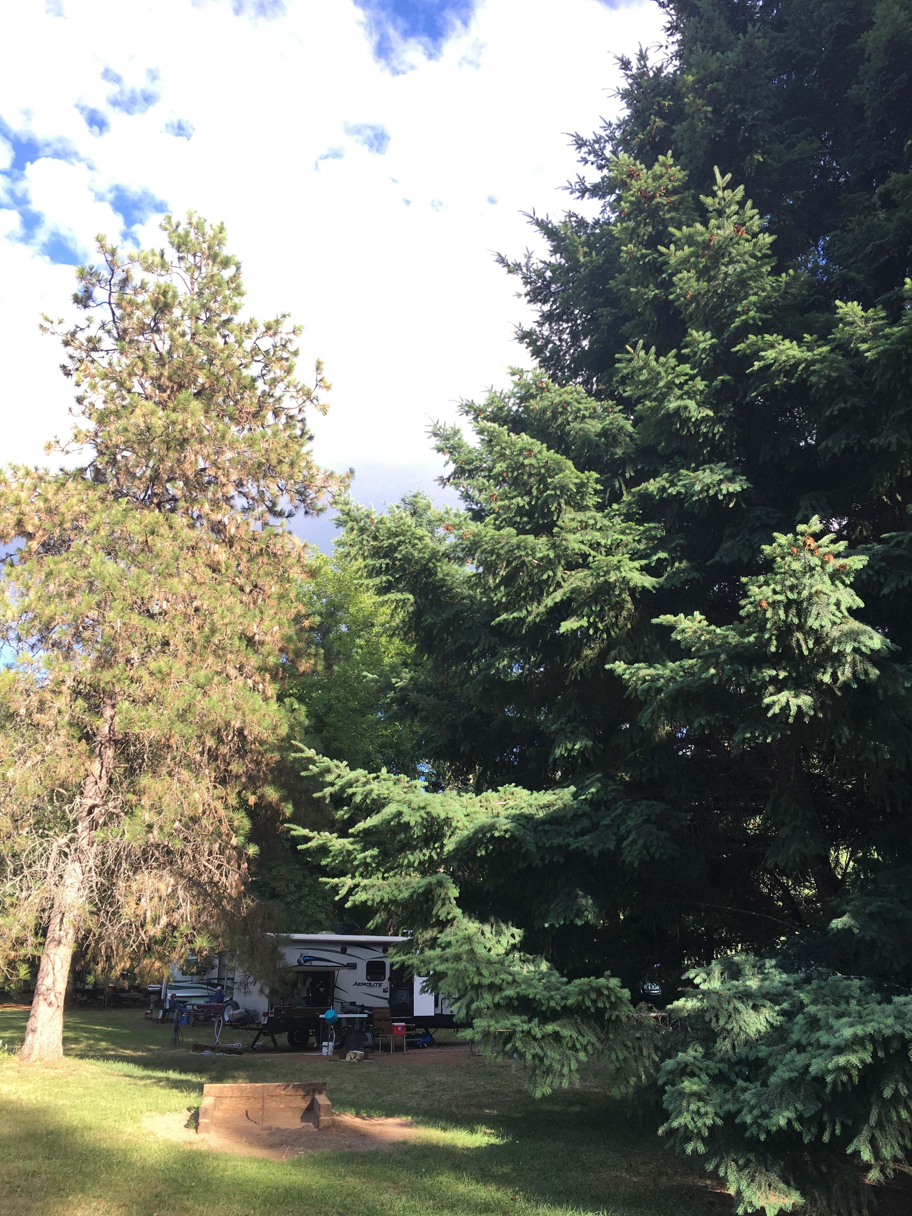B M.'s photo of rv camping at Joseph H. Stewart County Park near Trail, OR