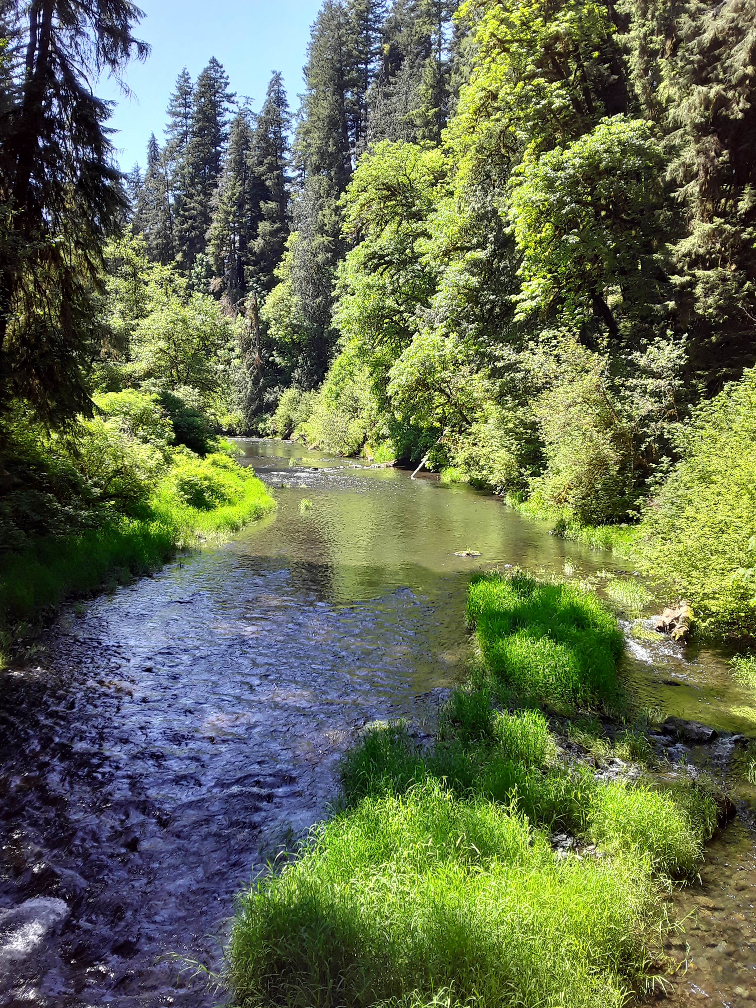 Water