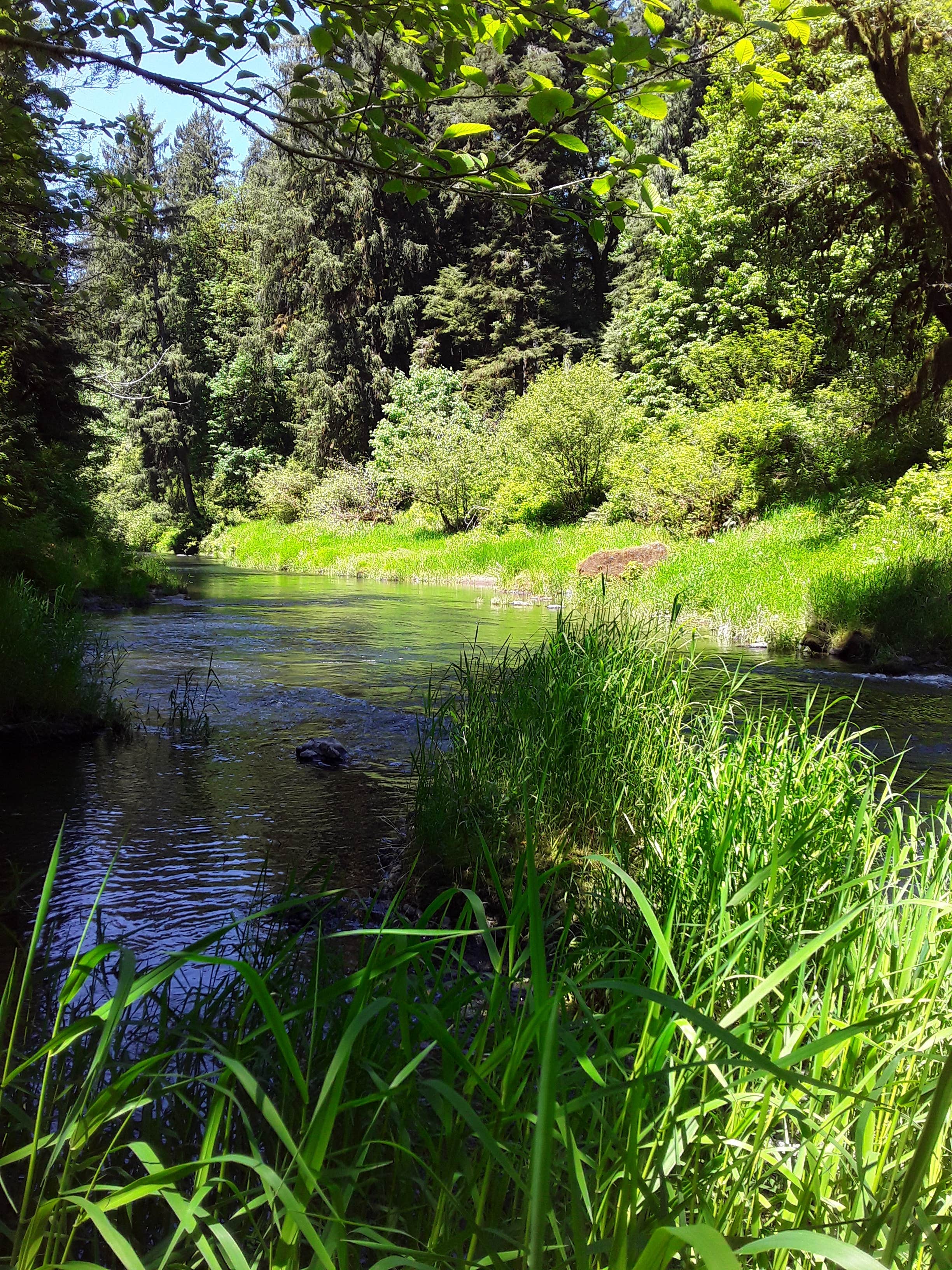 Nature