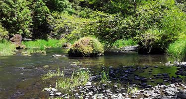 North Creek Campground