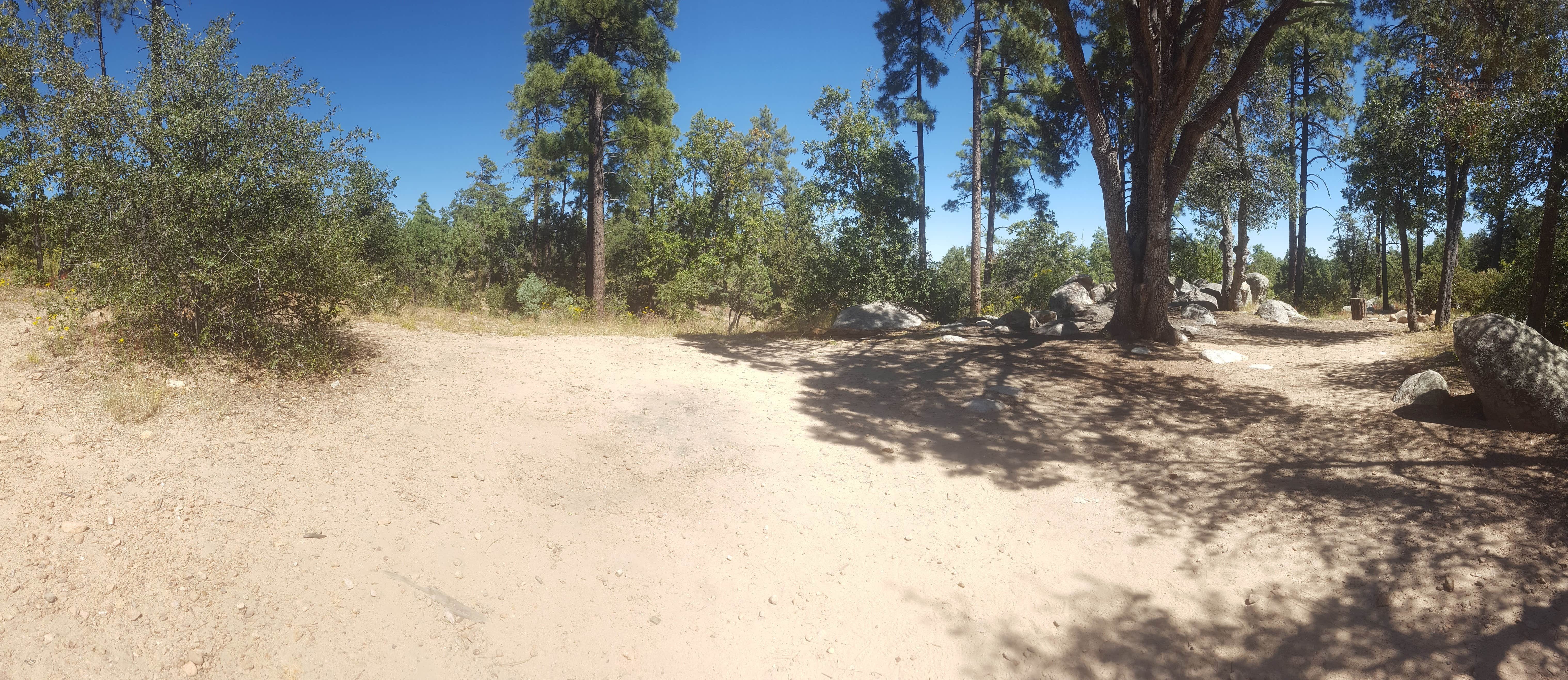 Camper submitted image from FDR51 Potts Creek Road Dispersed Camping - 3