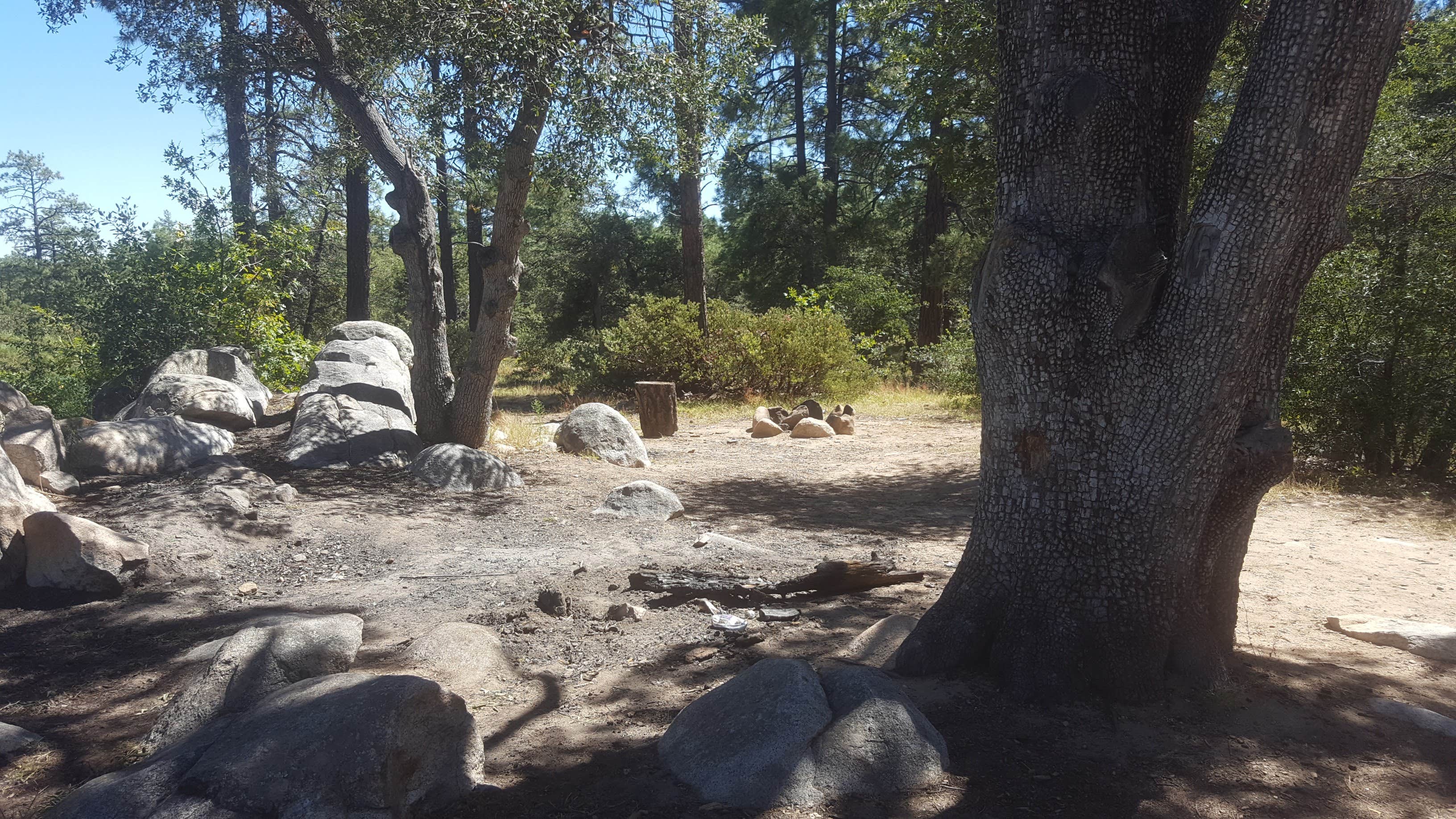 Camping near UCYC: FDR51 Potts Creek Road Dispersed Camping, Prescott National Forest, Arizona