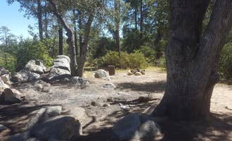 Camping near Emmanuel Pines Camp: FDR51 Potts Creek Road Dispersed Camping, Prescott National Forest, Arizona