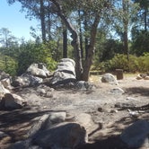 Review photo of FDR51 Potts Creek Road Dispersed Camping by Krista Z., October 1, 2017