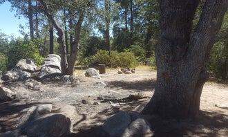 Camping near Camp Wood Area: FDR51 Potts Creek Road Dispersed Camping, Prescott National Forest, Arizona