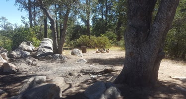 FDR51 Potts Creek Road Dispersed Camping