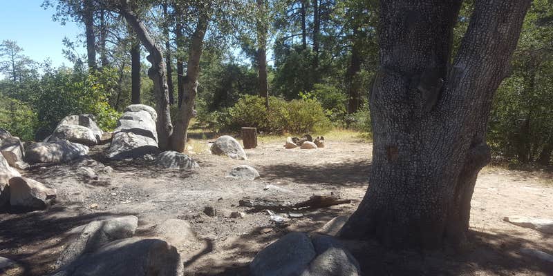 Camper submitted image from FDR51 Potts Creek Road Dispersed Camping