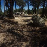 Review photo of FDR51 Potts Creek Road Dispersed Camping by Krista Z., October 1, 2017