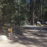 Review photo of Lower Wolf Creek Campground by Krista Z., October 1, 2017