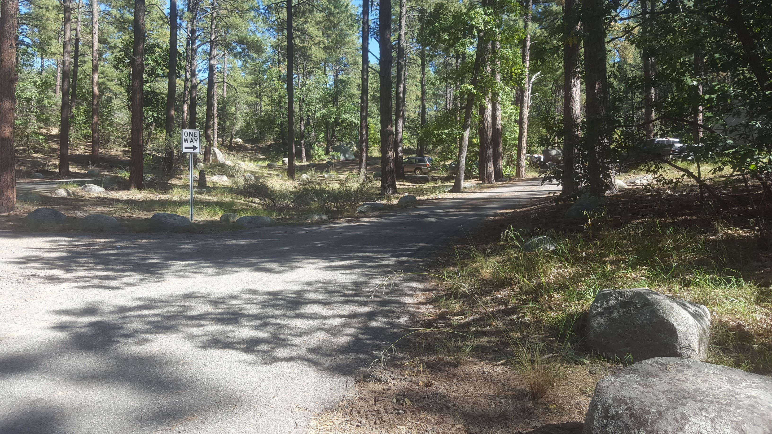 Camper submitted image from Lower Wolf Creek Campground - 3