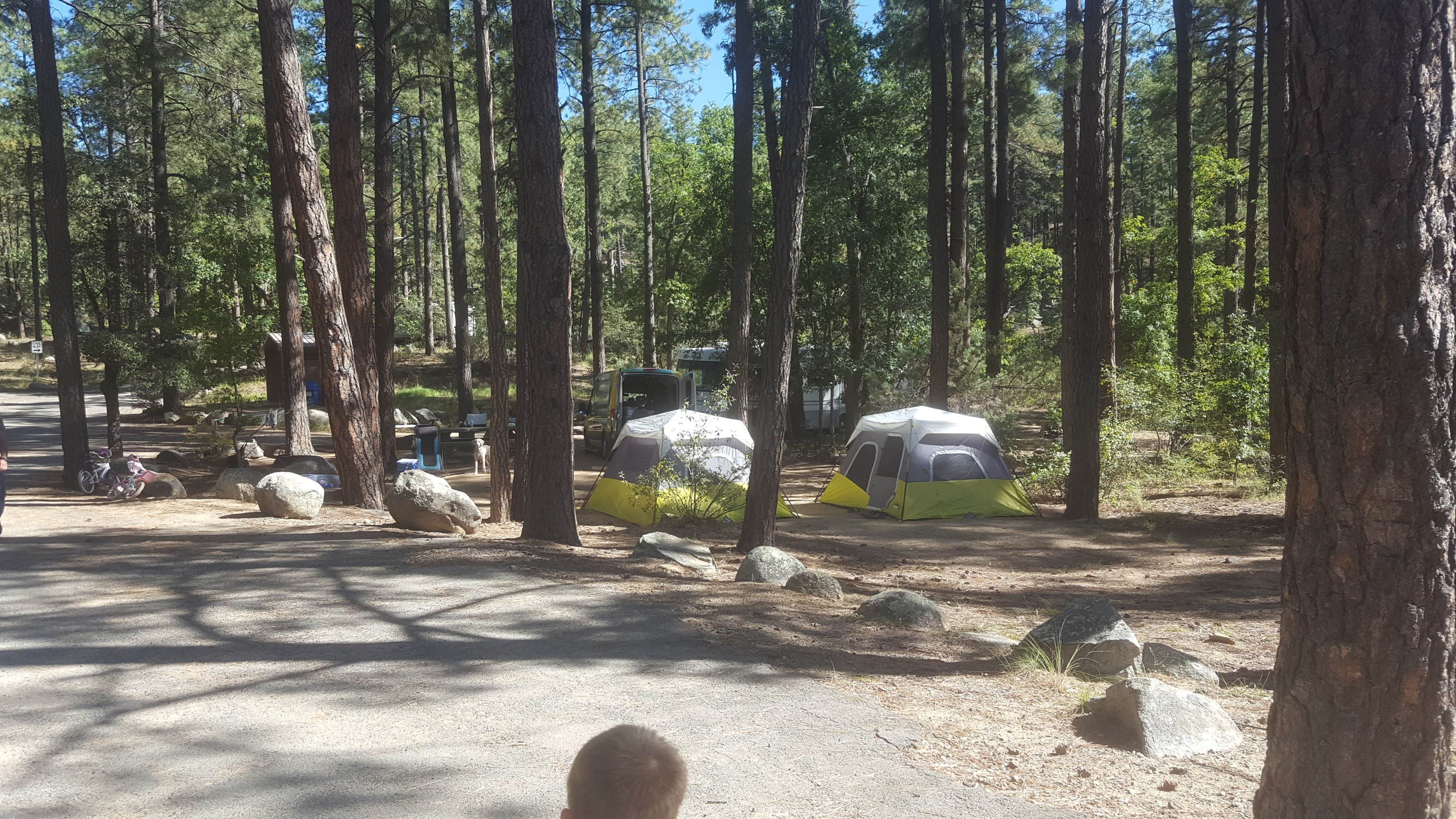 Lower Wolf Creek Campground | The Dyrt