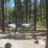 Review photo of Lower Wolf Creek Campground by Krista Z., October 1, 2017