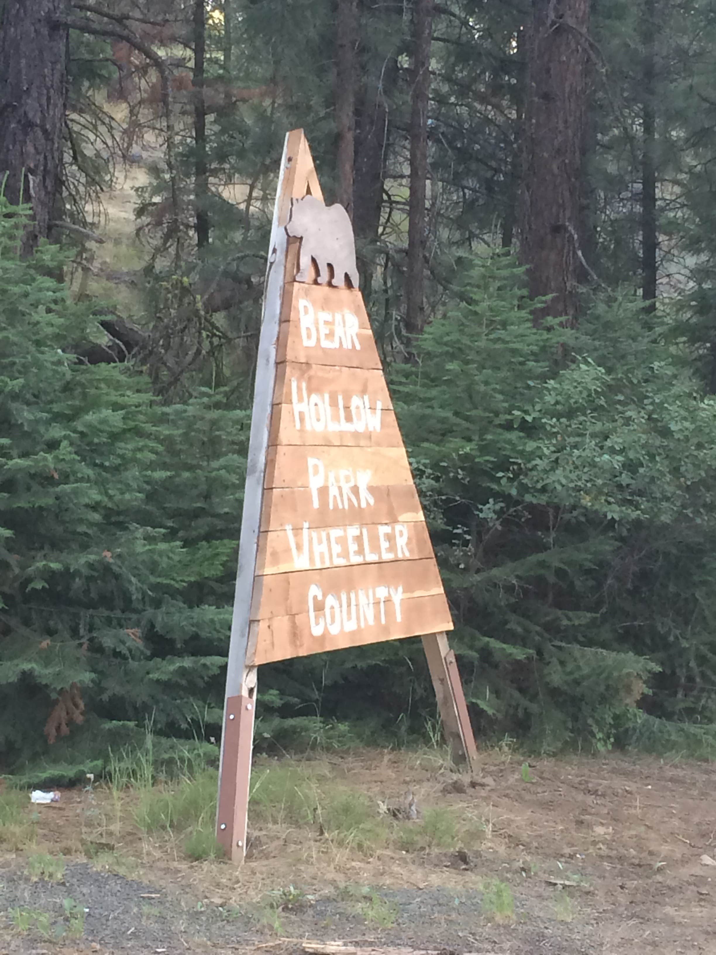 Camper submitted image from Bear Hollow County Park - 4