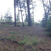 Review photo of Bear Hollow County Park by Corinna B., October 1, 2017