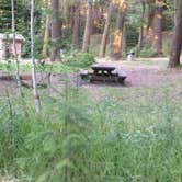 Review photo of Bear Hollow County Park by Corinna B., October 1, 2017