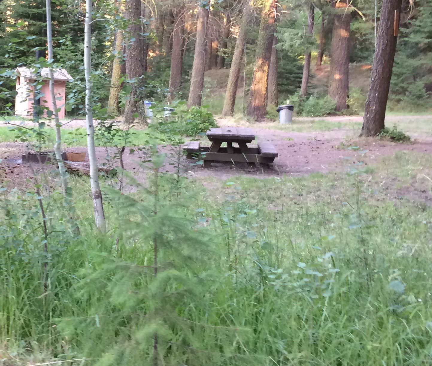 Camper submitted image from Bear Hollow County Park - 5