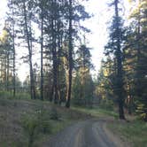 Review photo of Bear Hollow County Park by Corinna B., October 1, 2017