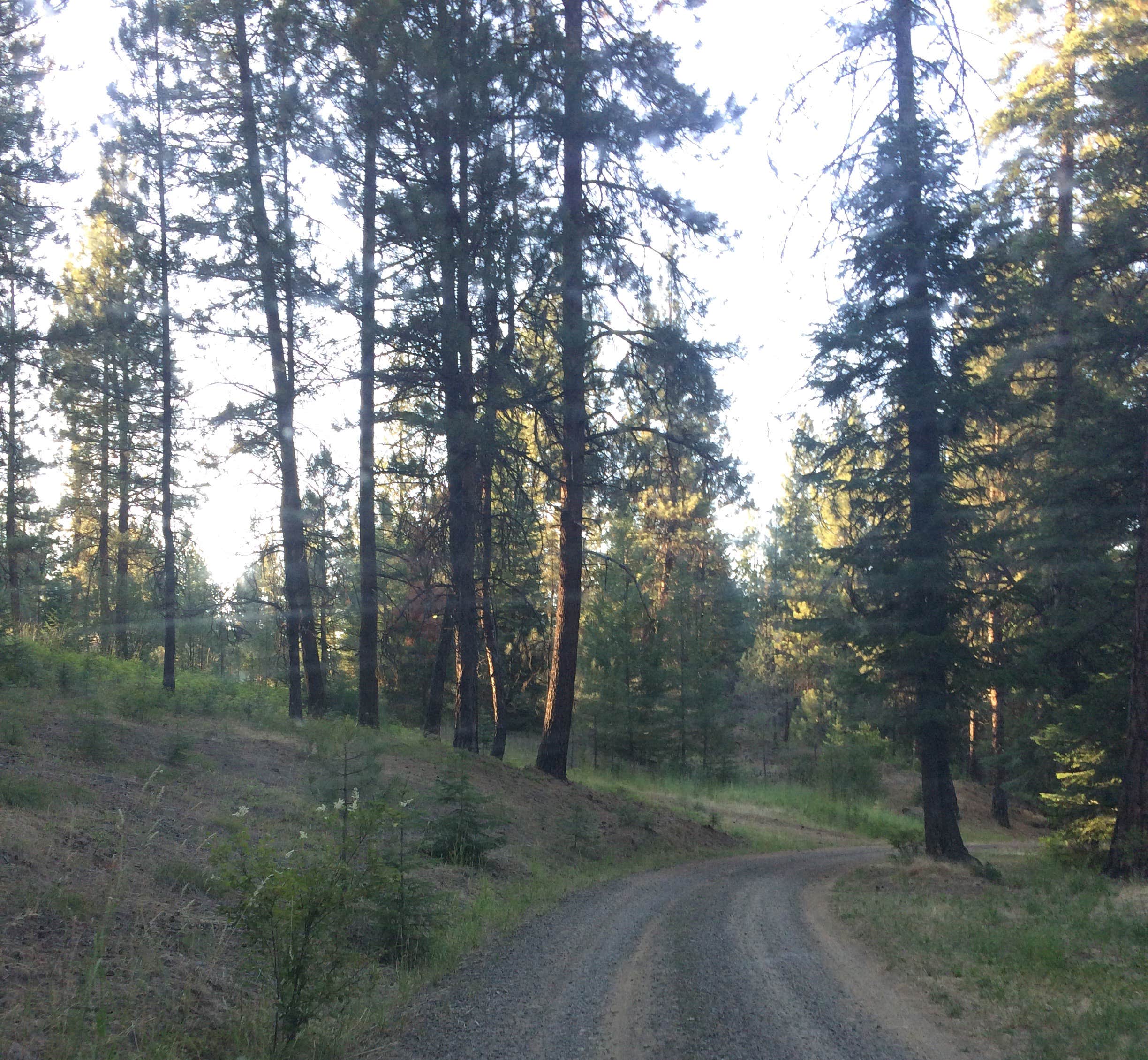 Camper submitted image from Bear Hollow County Park - 3