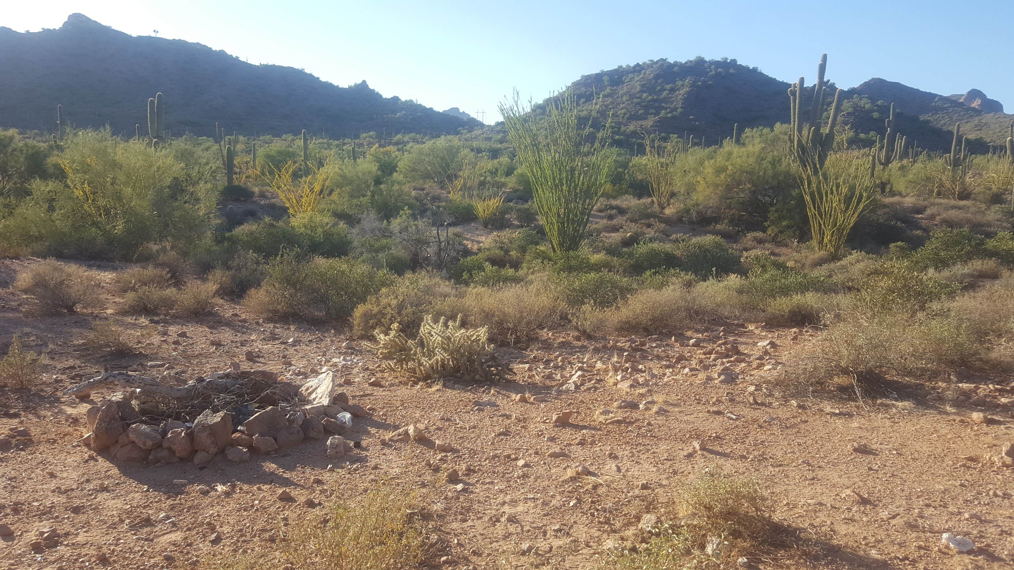 Bulldog Canyon Dispersed Camping North Entrance Camping Fort