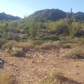 Review photo of Bulldog Canyon Dispersed Camping - North Entrance by Krista Z., October 1, 2017