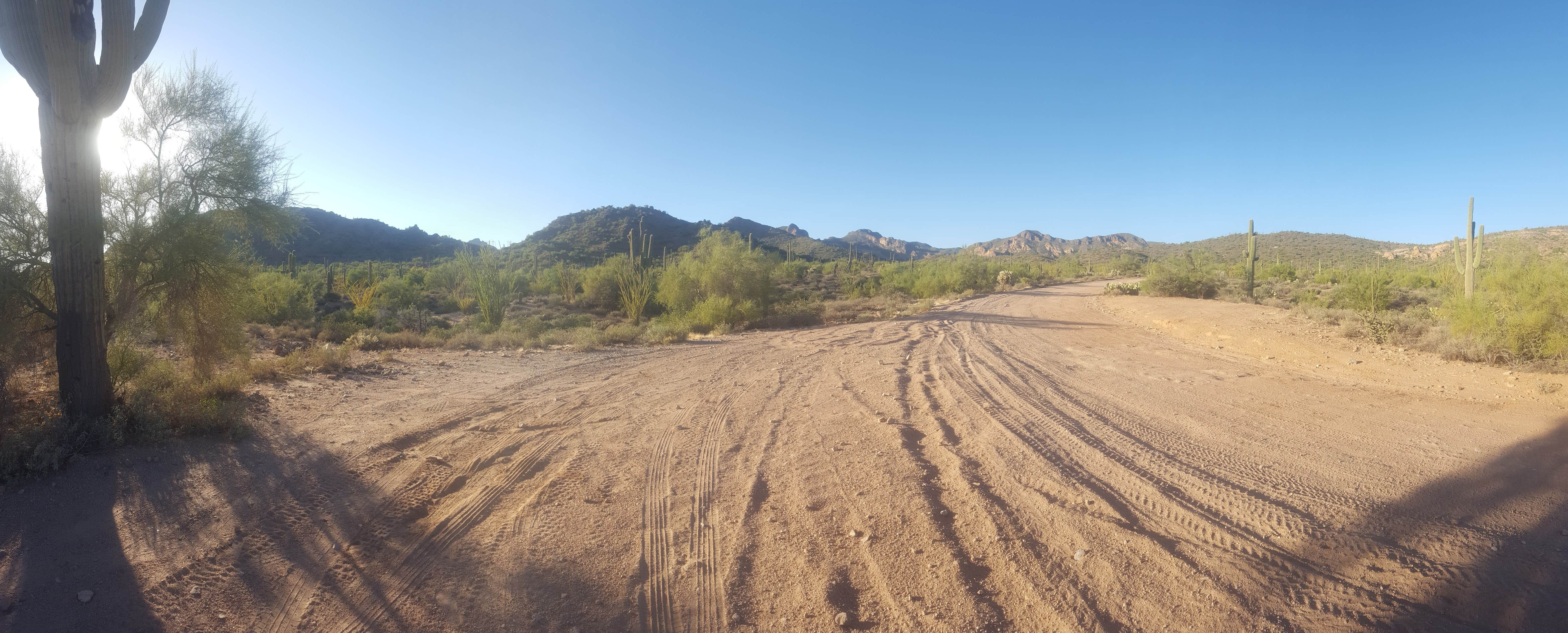 Camper submitted image from Bulldog Canyon Dispersed Camping - North Entrance - 3