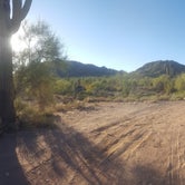 Review photo of Bulldog Canyon Dispersed Camping - North Entrance by Krista Z., October 1, 2017