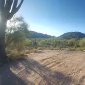 Review photo of Bulldog Canyon Dispersed Camping - North Entrance by Krista Z., October 1, 2017