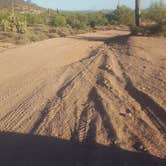 Review photo of Bulldog Canyon Dispersed Camping - North Entrance by Krista Z., October 1, 2017