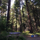 Review photo of Spring Drive RV Campground by B M., May 29, 2020