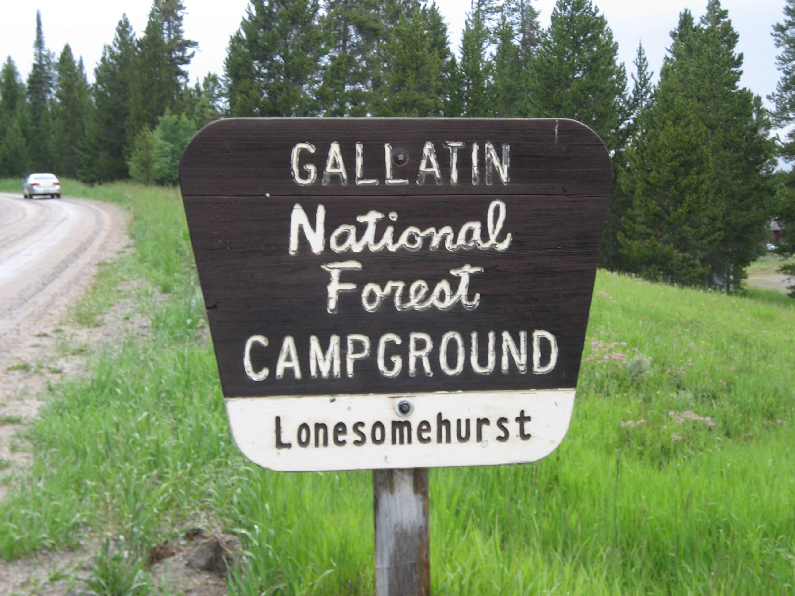 Camper submitted image from Lonesomehurst Campground - 4